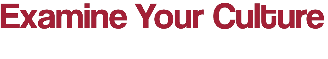 Examine Your Culture 