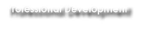 Professional Development